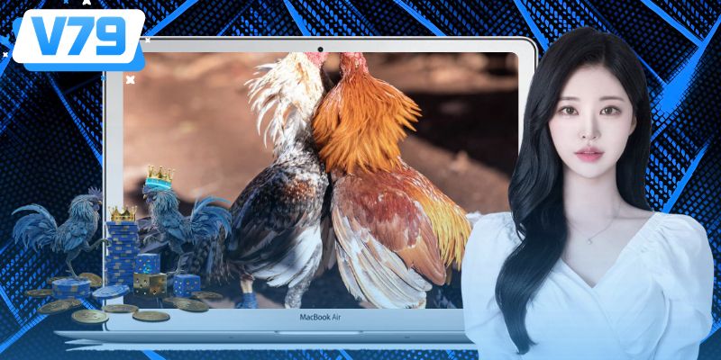 Những yếu tố đáng chú ý khi đánh giá chiến kê trước trận